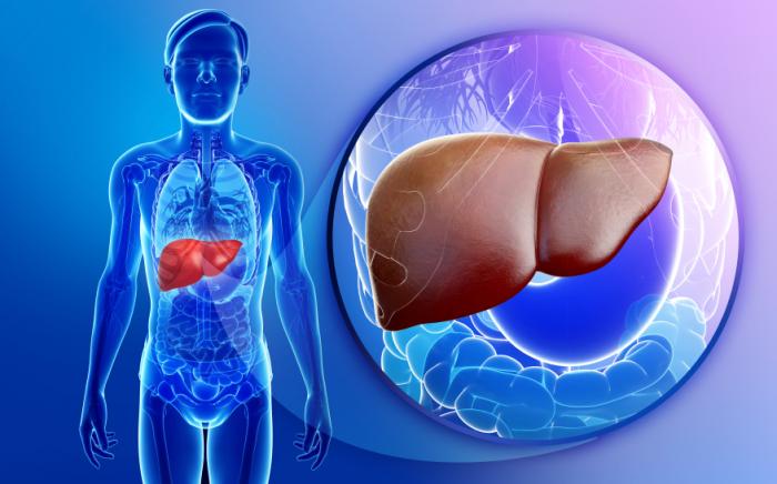 Liver Disease: Symptoms, Signs & Treatment - Dr. Naimish Mehta