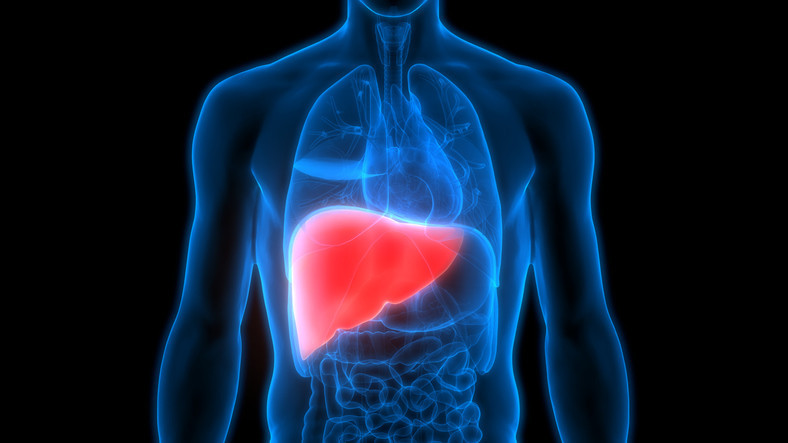 Fatty liver disease: What it is and what to do about it - Harvard Health