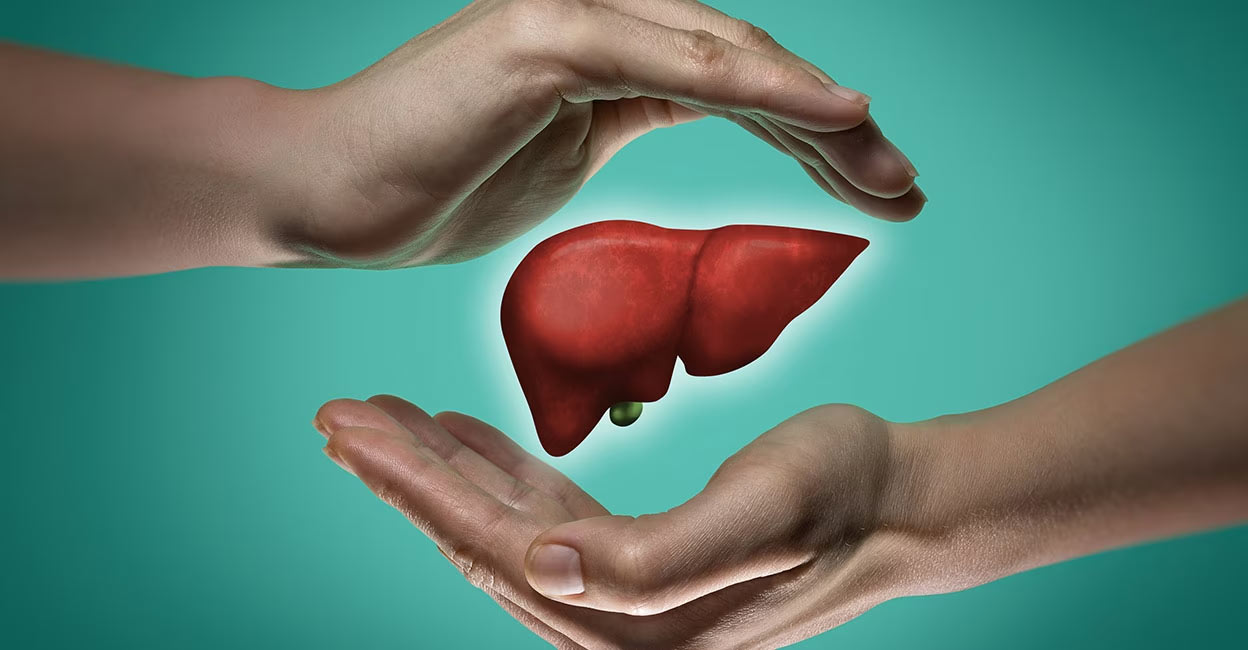 World Liver Day: How to keep the organ healthy? | Health | Onmanorama