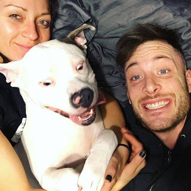 Dan Tillery adopts viral Diggy the Dog posts selfie on Facebook cops ticket