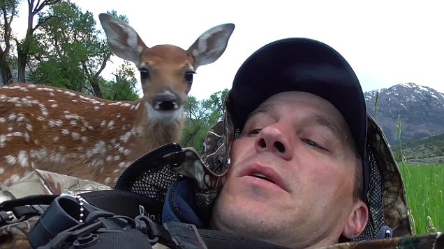 http://158.69.55.95/wp-content/uploads/2018/06/deer12.jpg