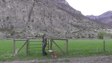 man-saves-injured-baby-deer-animal-friendship-8