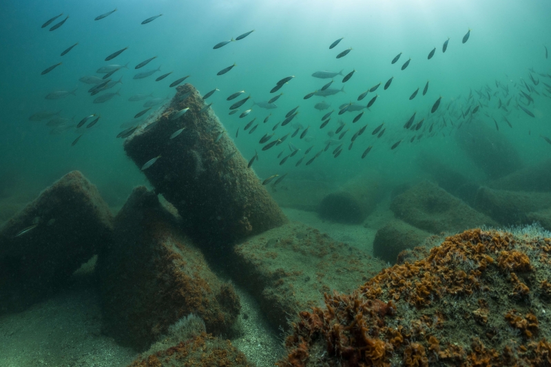 Image result for the city of Thonis-Heracleion